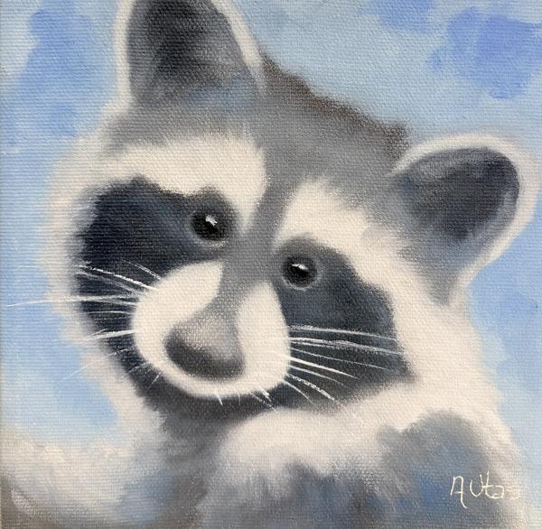 Raccoon Kit